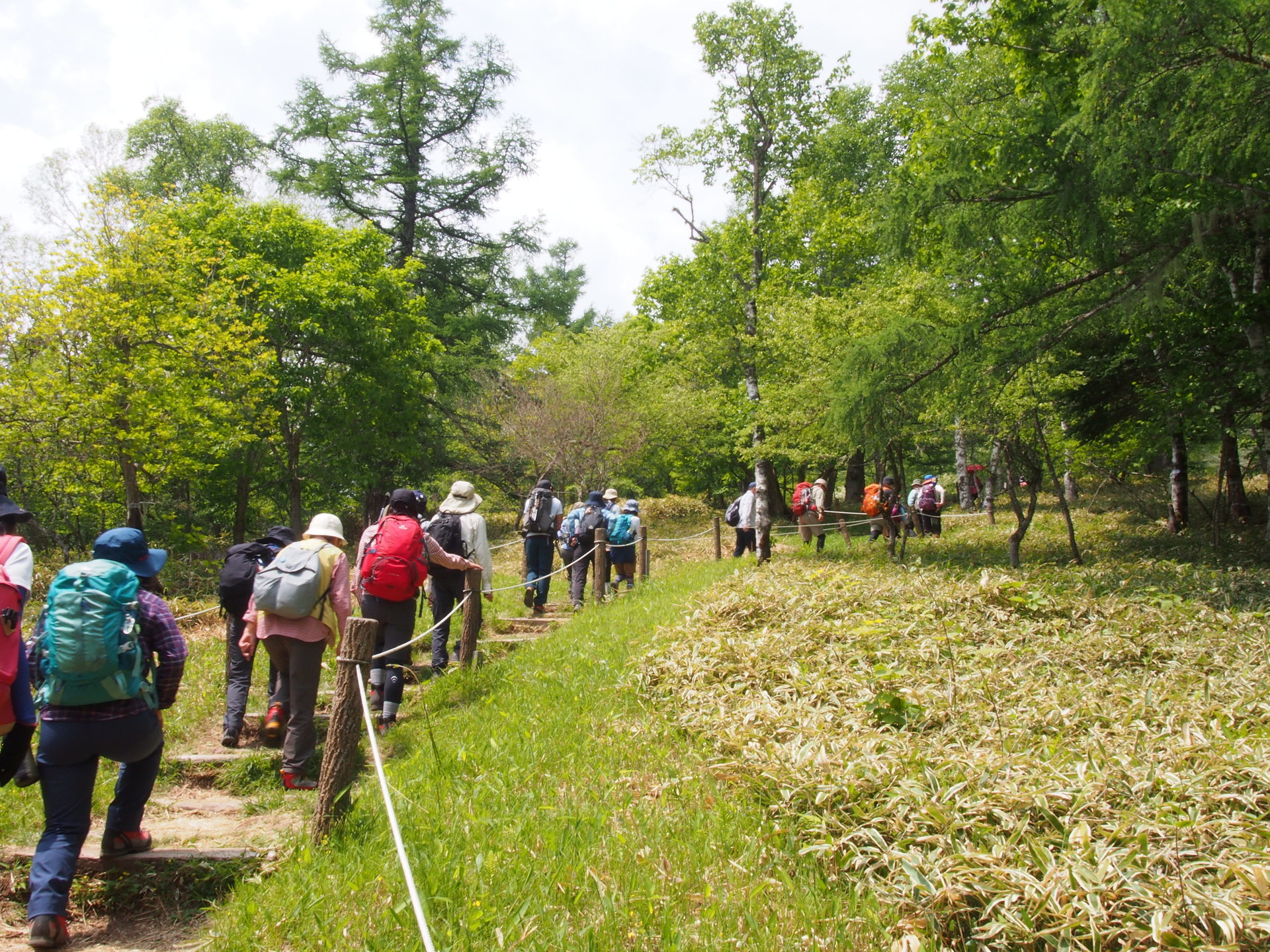 甘利山 千頭星山イベント報告 山noboro にらさき登山イベント