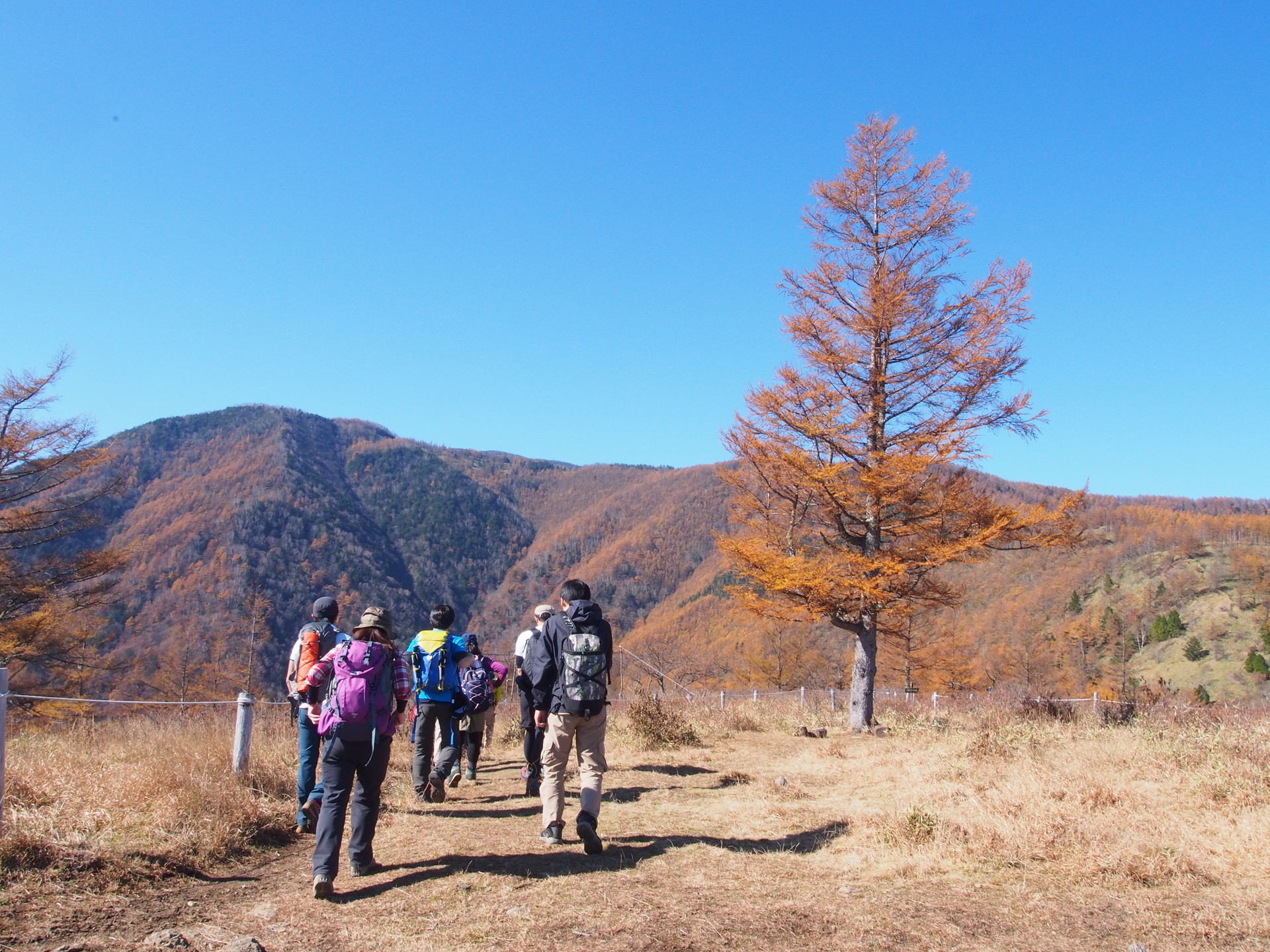 甘利山 千頭星山２nd イベント報告 山noboro にらさき登山イベント